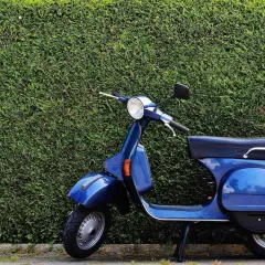 Azul Vespa PX 80 E, un clásico que evoca los modelos Vespa años 60, aparcada frente a un seto verde.