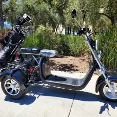 Trike negro de 3 ruedas con bolsa de golf en la parte trasera, aparcado en una acera.